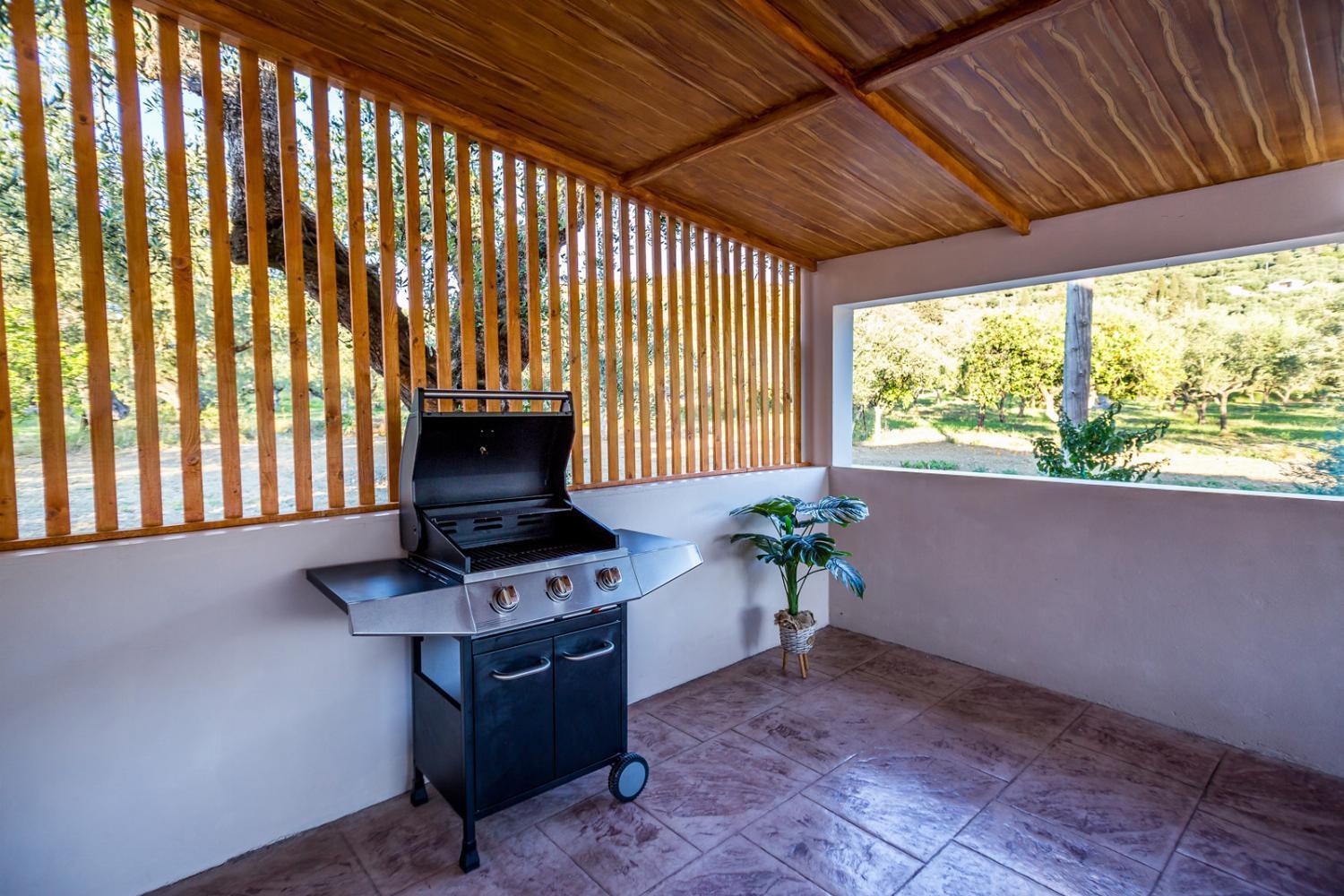 Vila Mazzeto Casa Alonia Ano Yerakarion